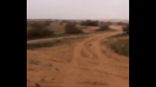 زب في الصحراء