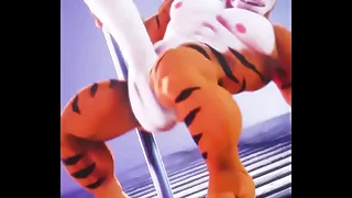 Tiger showing off his package